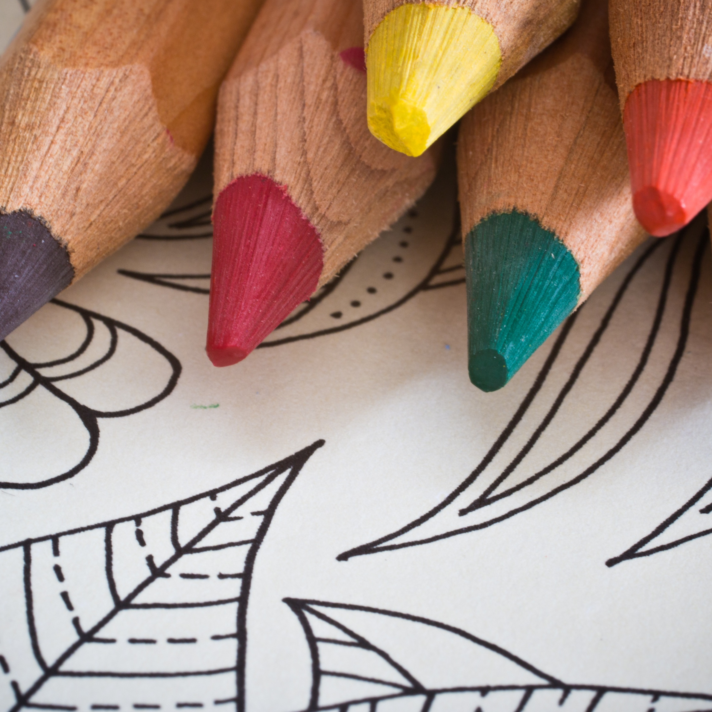 Coloring Pages
