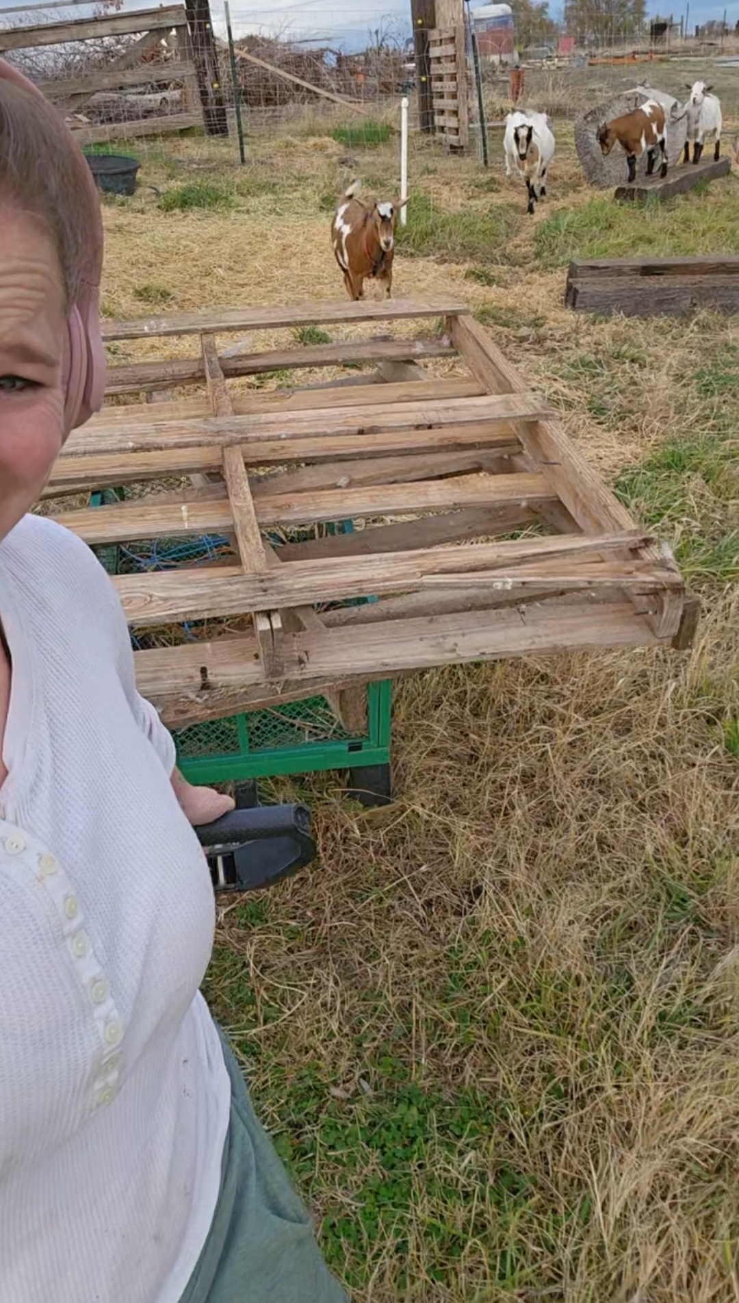 Homesteading Hacks: 15 Life-Changing Tips to Make Your Farm Work (and Your Life Easier)
